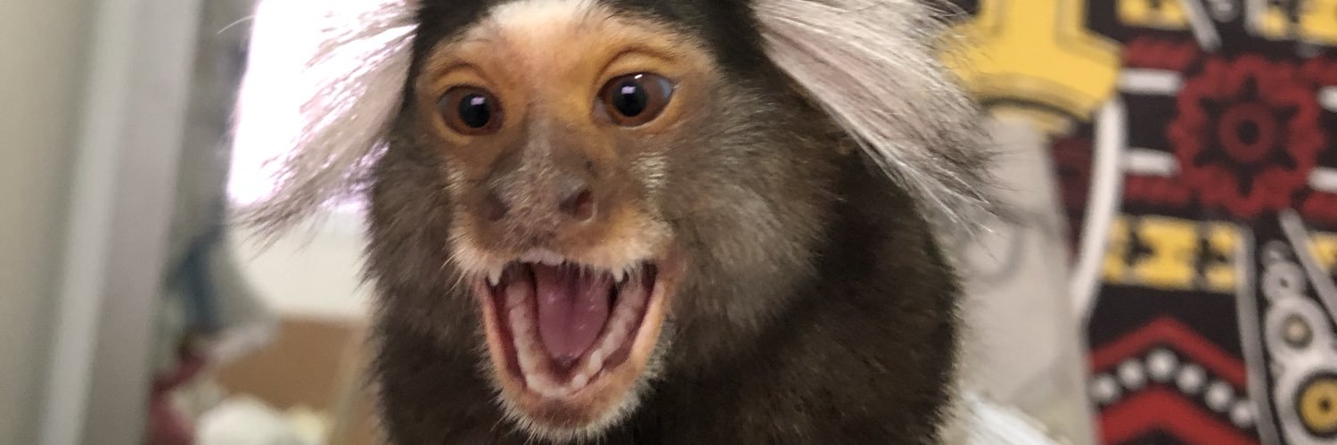 YMontei's profile banner image