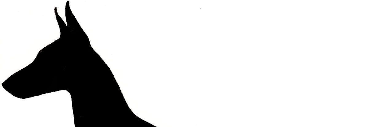 kvsang's profile banner image