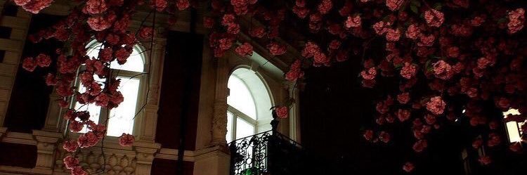 monté ✧ zagreus’ muse 💌's banner