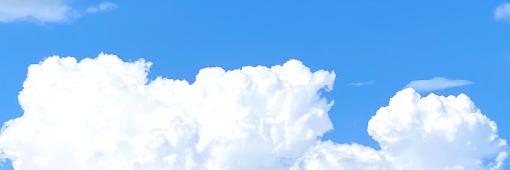 りぃぴょん🎶 banner