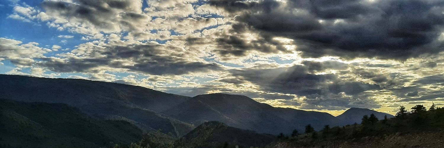 SeleneBC_'s profile banner image