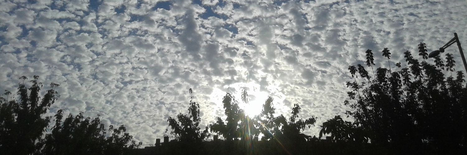 Laura Cortés banner