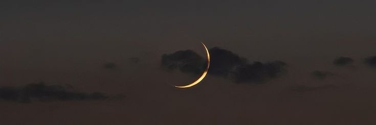 aysee_arikoglu's profile banner image