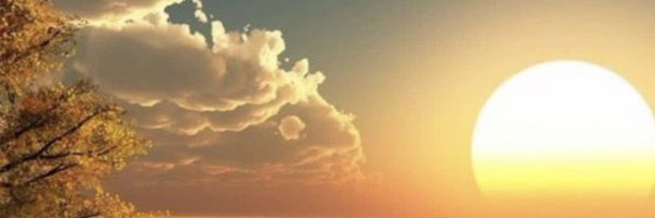 asafamm1444 Profile Banner
