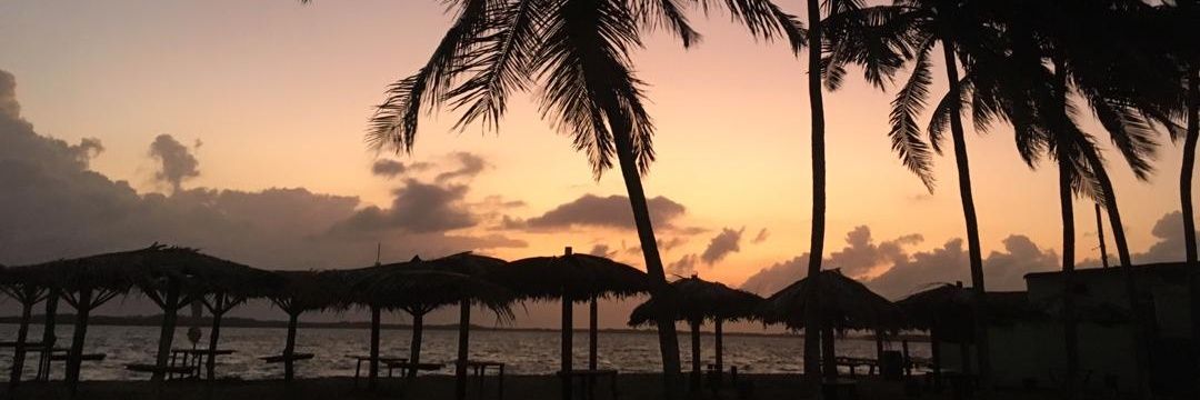 Aritz 🇳🇪🇧🇫 banner