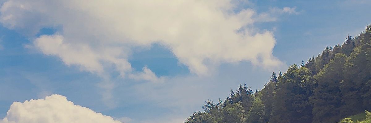 summernight__ banner