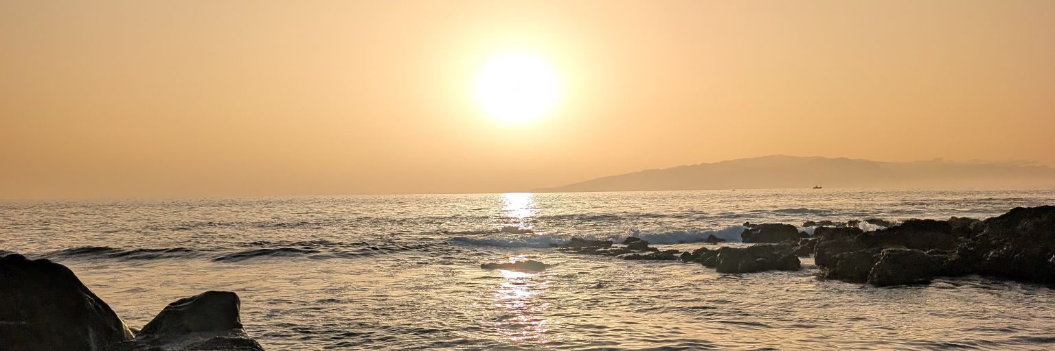 Francisco Buendía banner