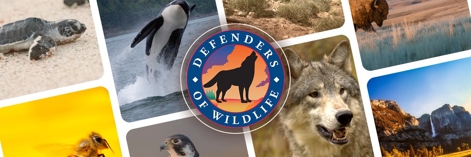 Defenders of Wildlife banner