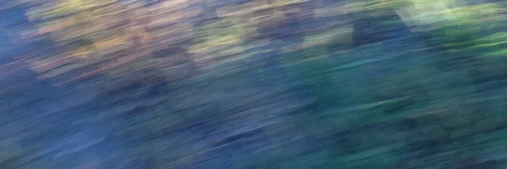 Heloise Emdon #Alleyes banner