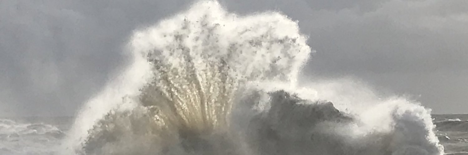 Stephen Bevan banner