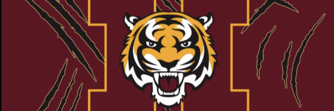 Tiger Football banner