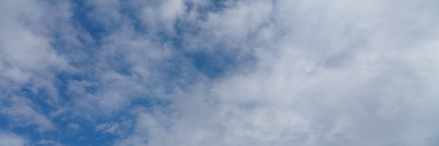 Rena` banner