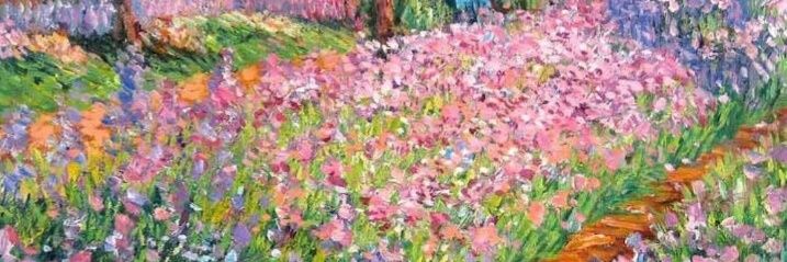 Power Guido🇧🇷🌞🦁🚀 banner