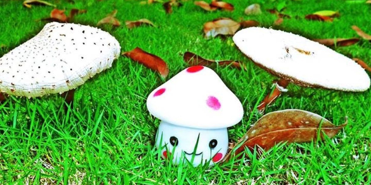 Jeez_MusHroom's profile banner image