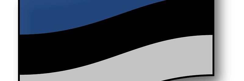 sündikalist banner