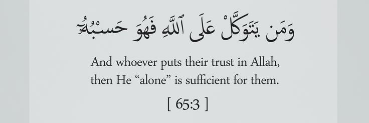 Adv Najeeb khan uttarakhand india🇮🇳 banner