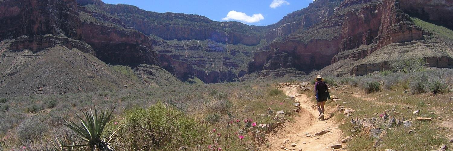 Michelle Mallette banner