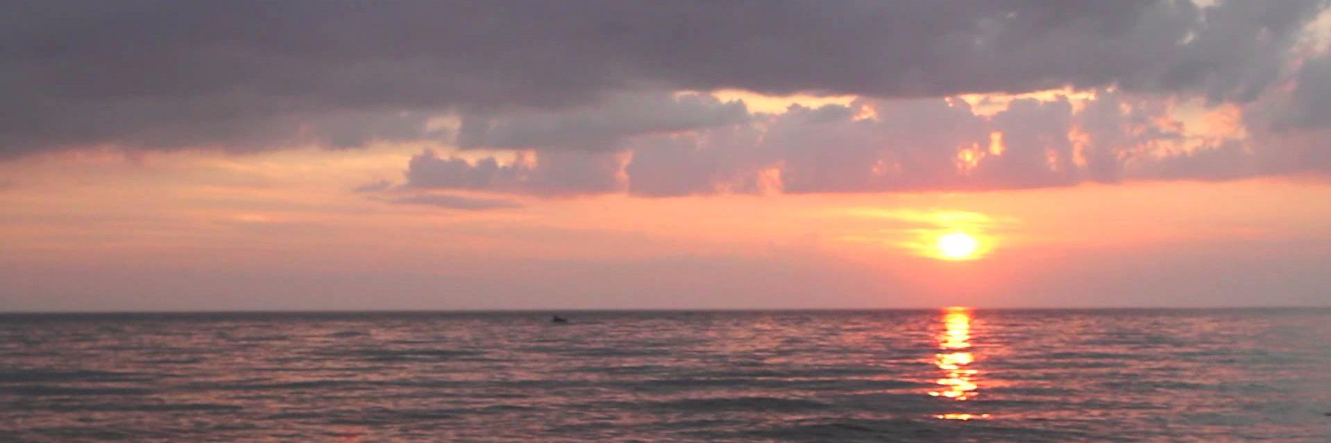iraeckstein's profile banner image