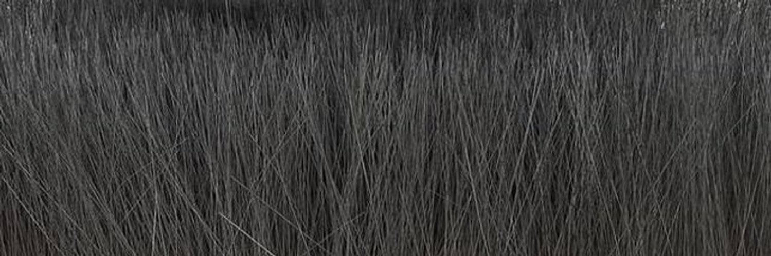 zesvr's profile banner image