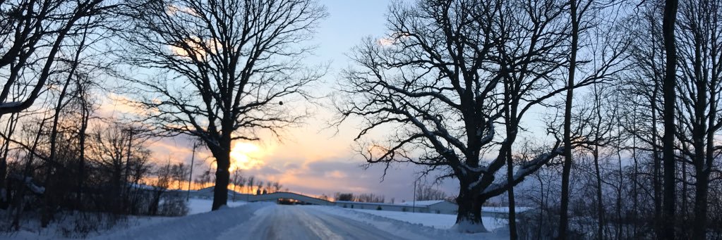 Margaret Hudson banner