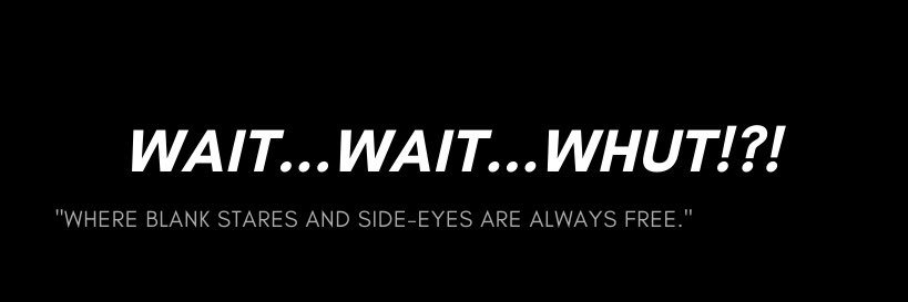 waitwaitwhut's profile banner image