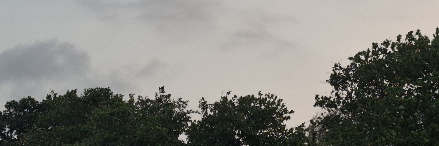 Mo banner