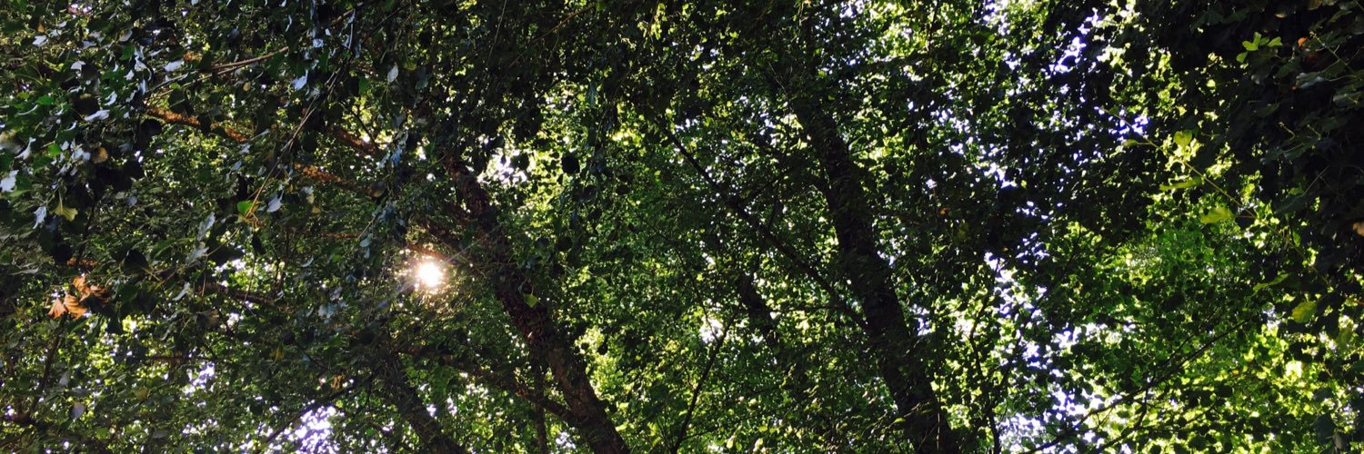 PaulaMH_'s profile banner image
