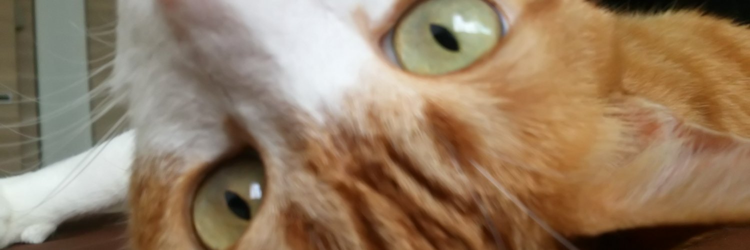 miyavi26's profile banner image