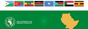 Commander Abebe Muluneh's banner