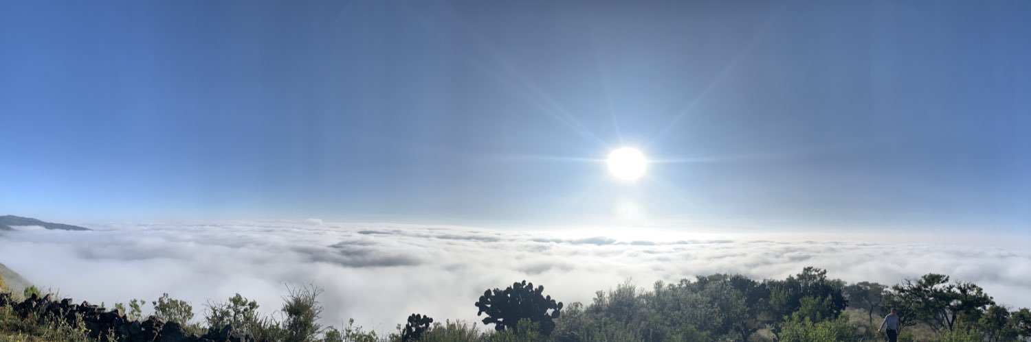 Dagoberto Sanz banner