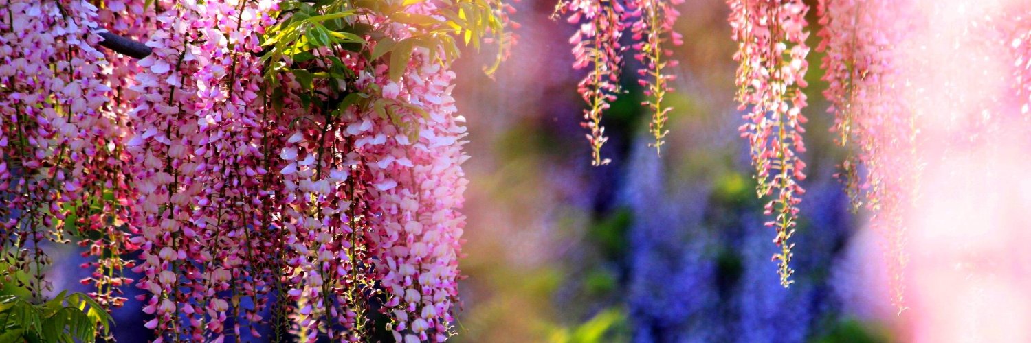 FarmsRealty's profile banner image