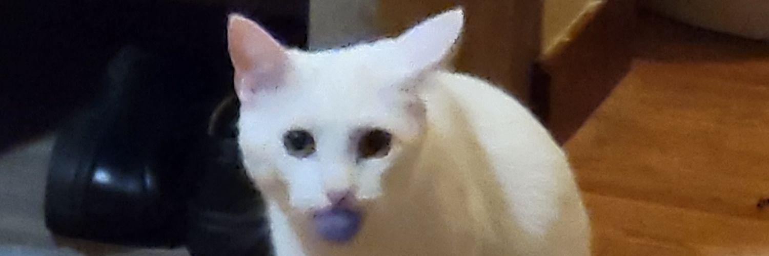 SOLisiLa's profile banner image