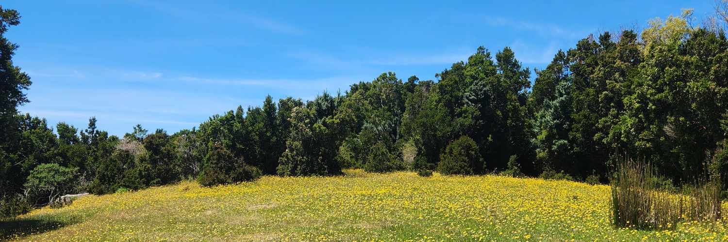 Mateo del futuro banner