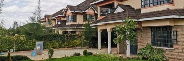 Advec Real Estate banner