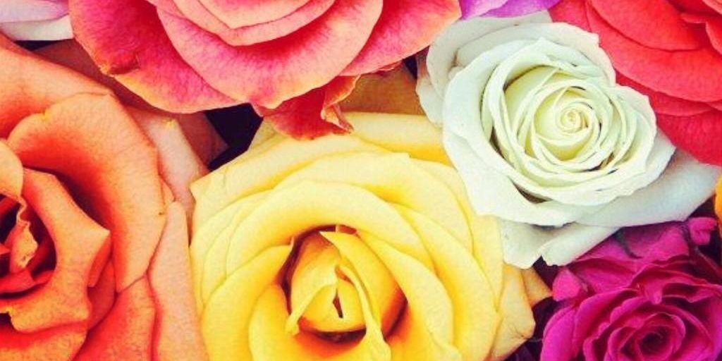 NOELIAAFM's profile banner image