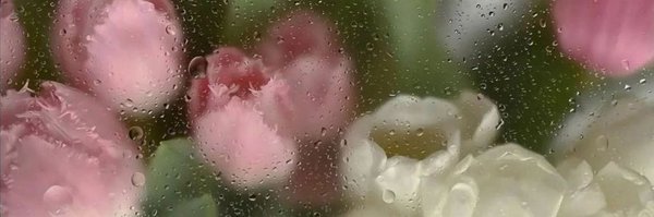 snugtf Profile Banner
