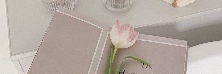dey:⋆˚🌷 ✿🦩˖° banner