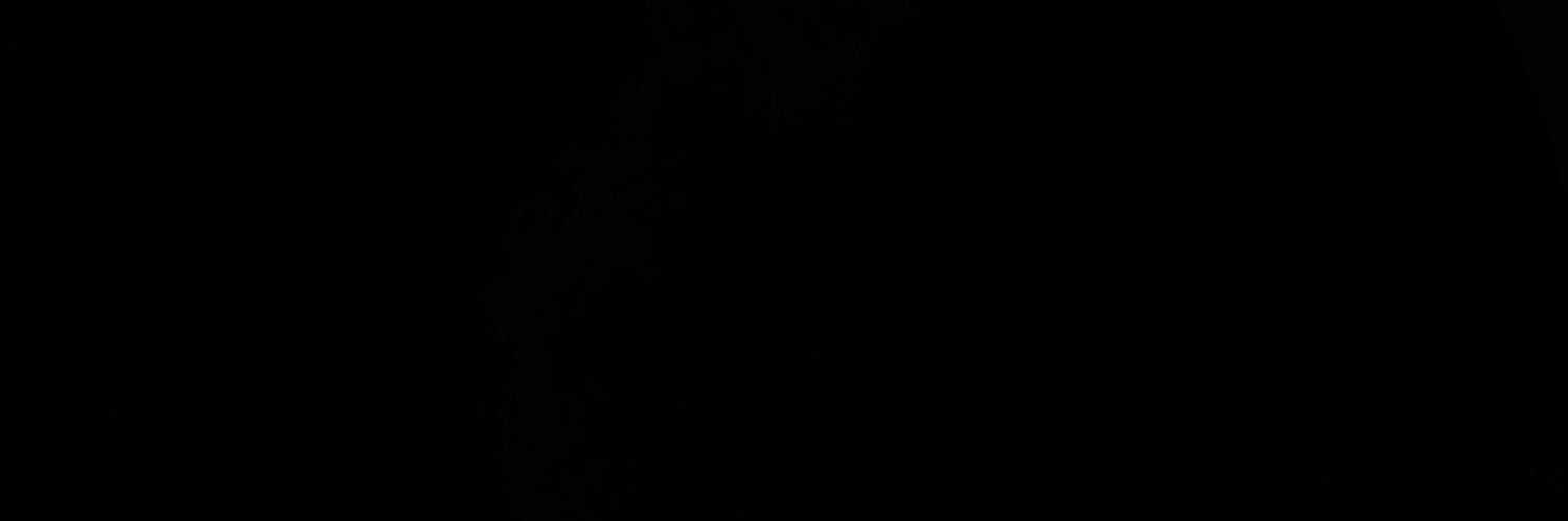 trlogyxea's profile banner image