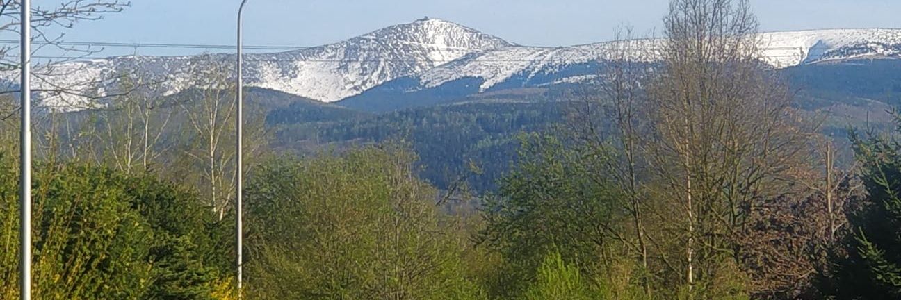 Simon Flack 💙💛 banner