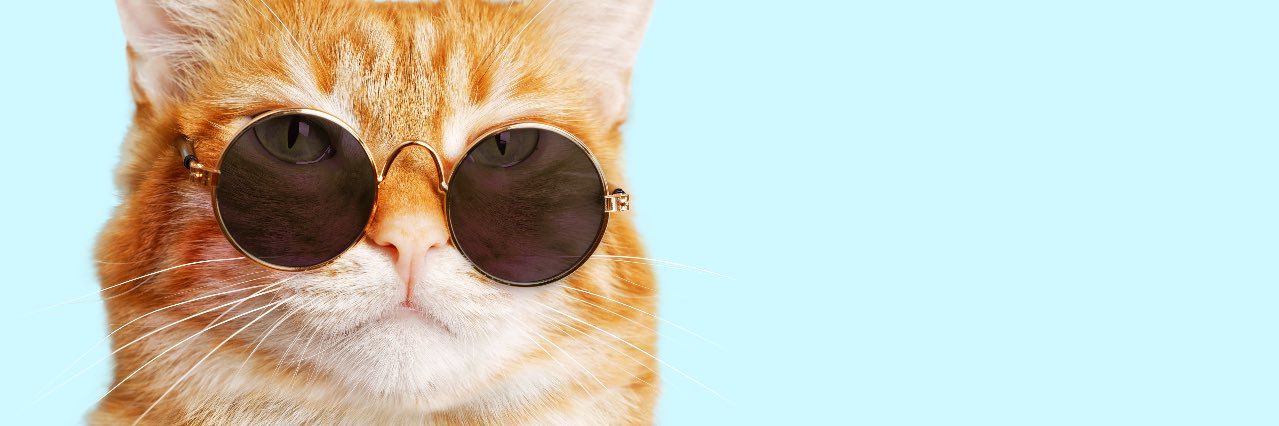 PN_Chevalier⚔️ banner