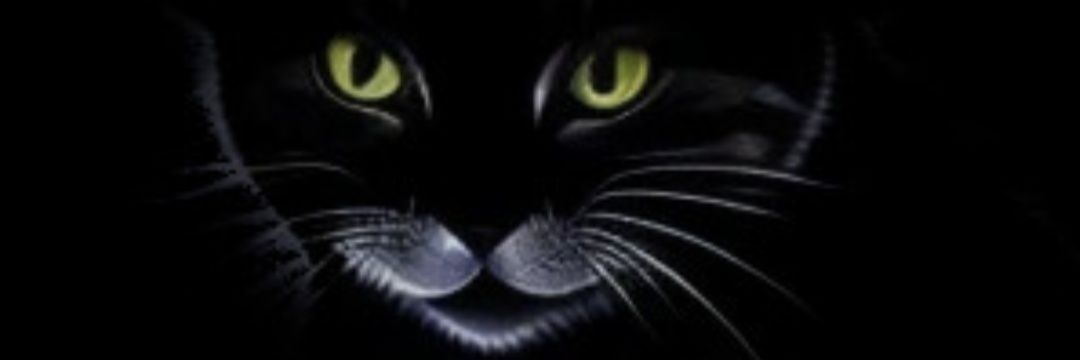boss302nos's profile banner image