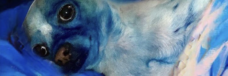 valucolussi's profile banner image