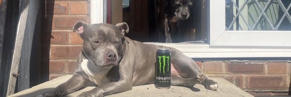 iamfinleyy Profile Banner