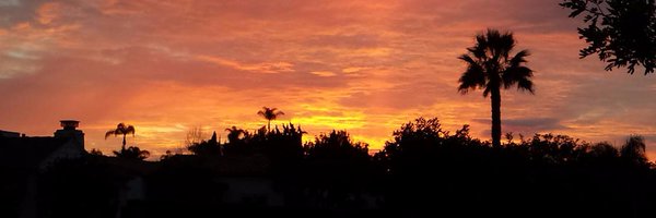 melindak Profile Banner