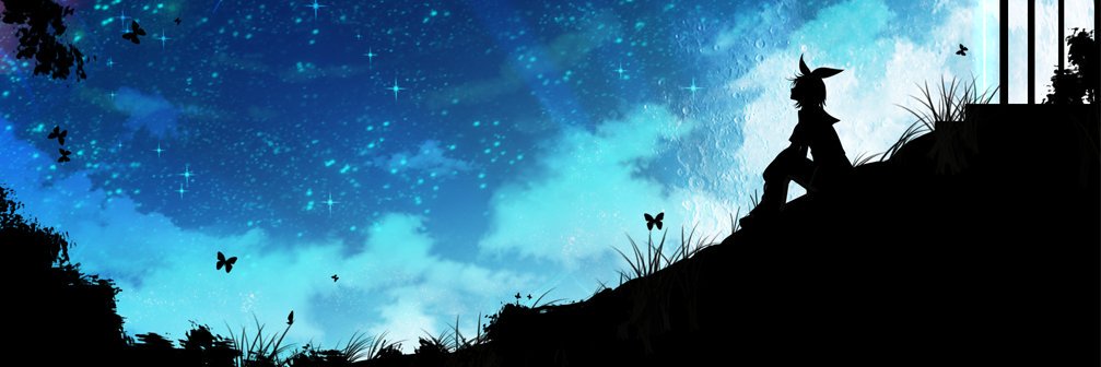 diego24lol's profile banner image
