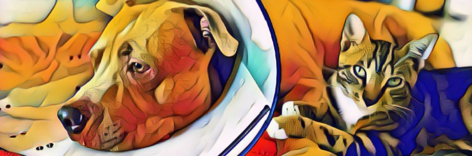 Ximena Gallego banner