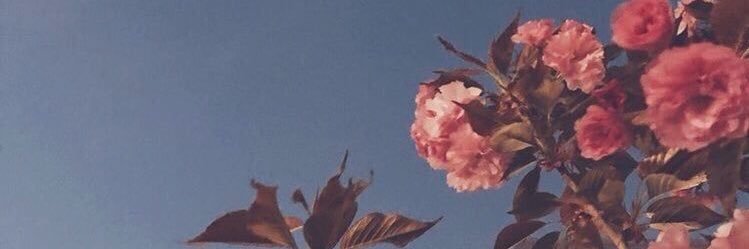 laglori777's profile banner image