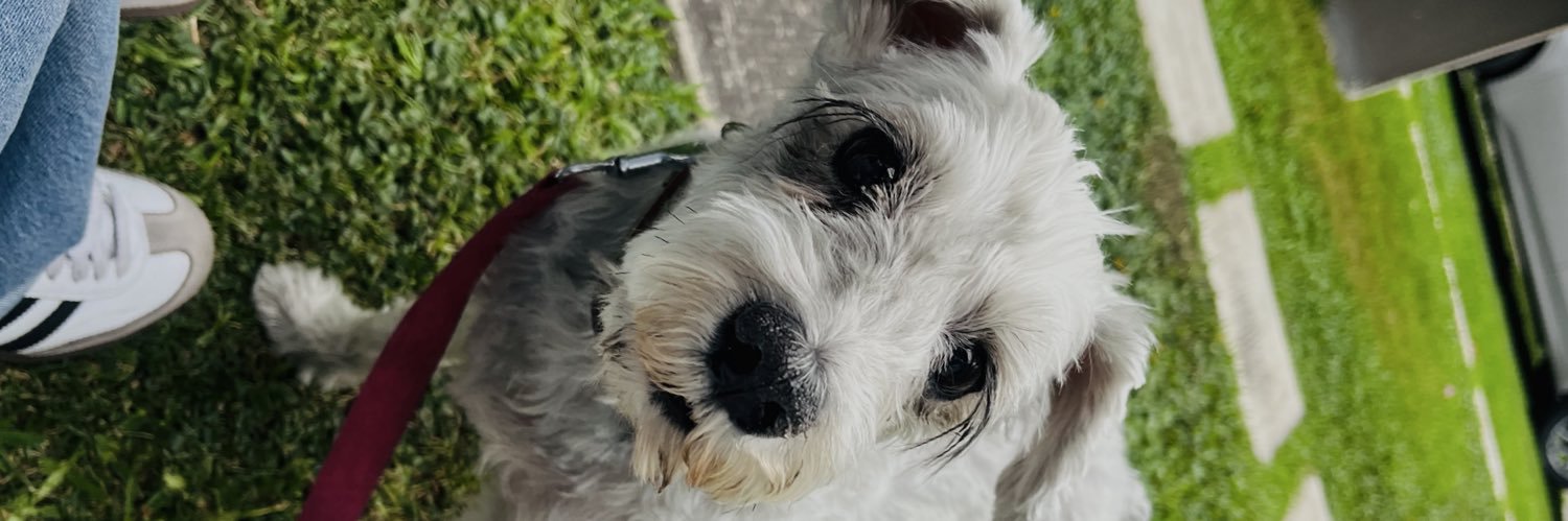 romiblandooo's profile banner image