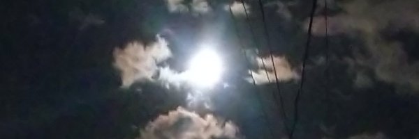 ねまんねま's banner