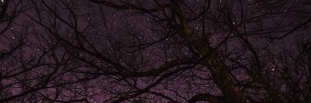 adrajohnson's profile banner image